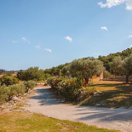 Calami - Villa Romeo - Private Apartments With Pool, Seaview & Olive Grove Santa Caterina Dello Ionio Marina Zewnętrze zdjęcie