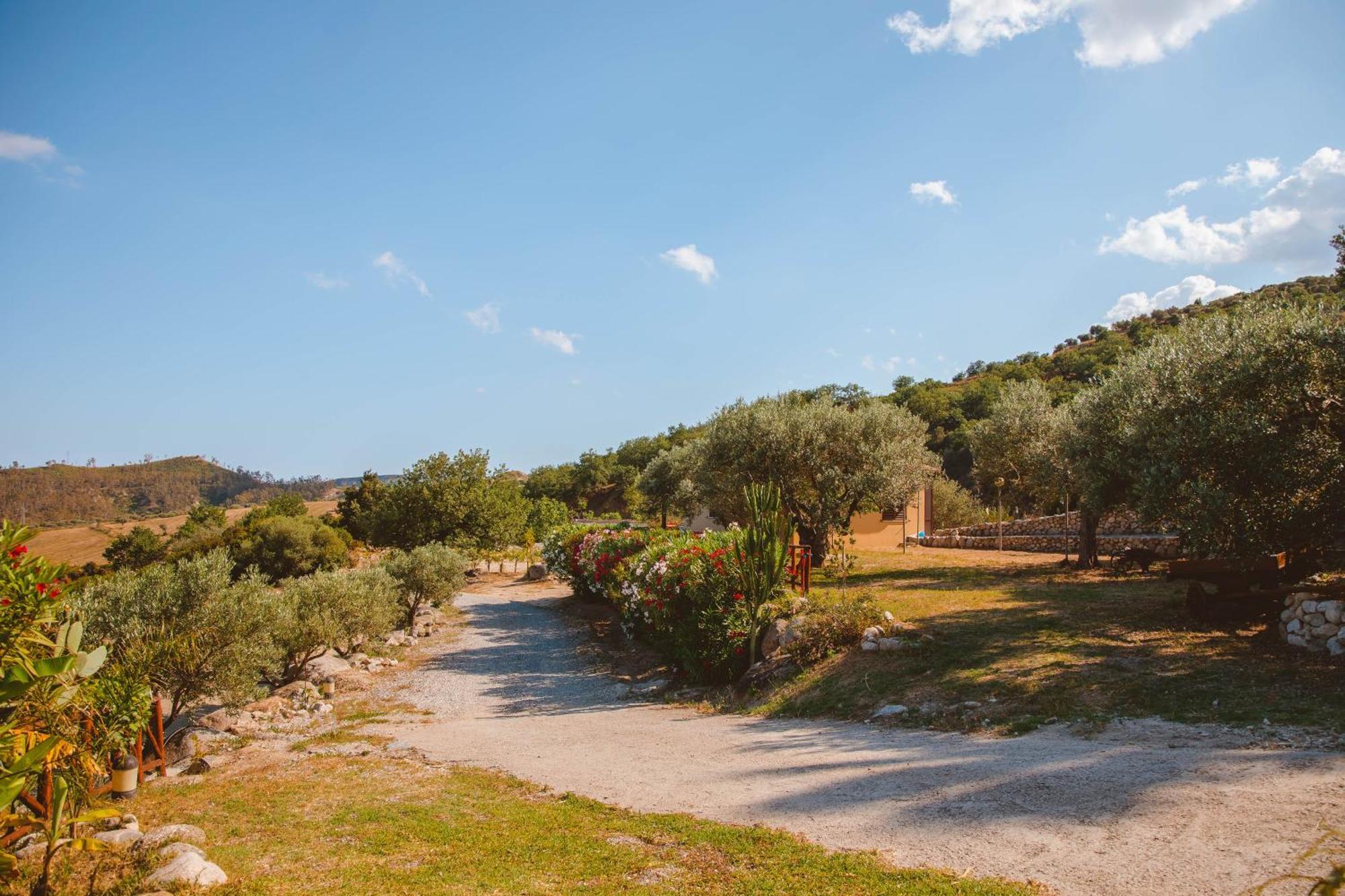 Calami - Villa Romeo - Private Apartments With Pool, Seaview & Olive Grove Santa Caterina Dello Ionio Marina Zewnętrze zdjęcie