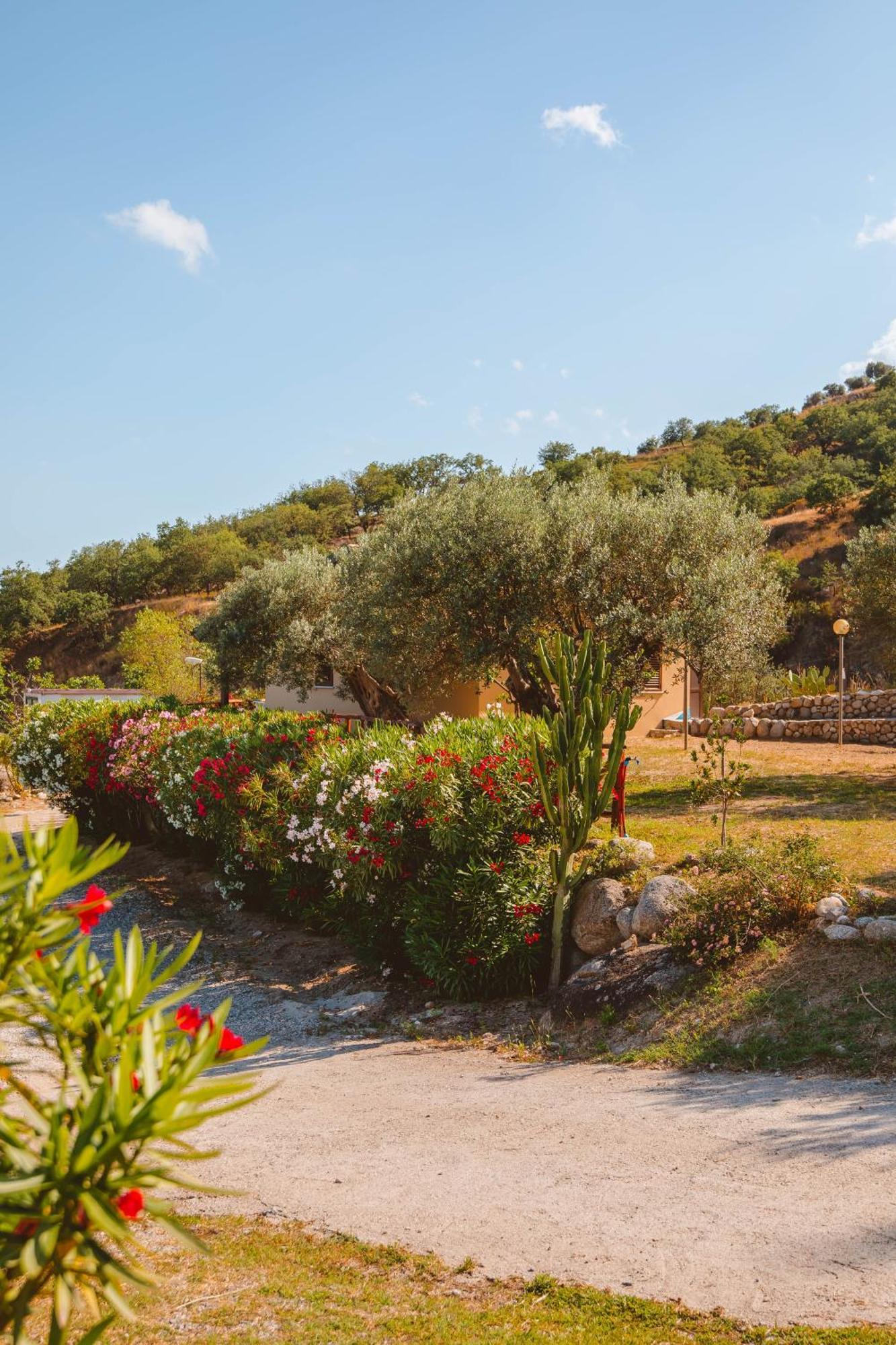 Calami - Villa Romeo - Private Apartments With Pool, Seaview & Olive Grove Santa Caterina Dello Ionio Marina Zewnętrze zdjęcie